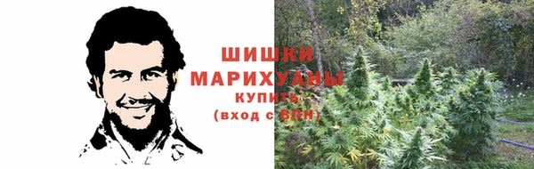 прущие грибы Гусь-Хрустальный