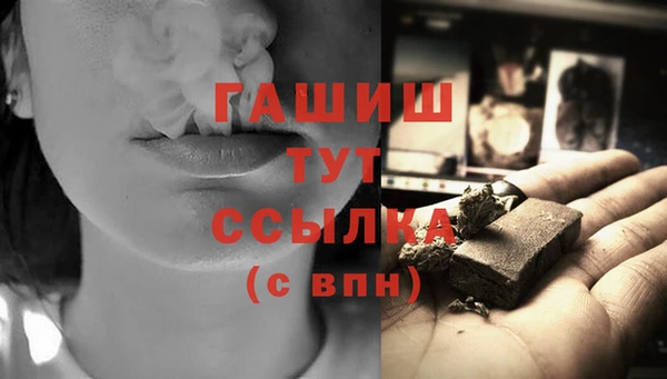 прущие грибы Гусь-Хрустальный