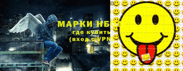 прущие грибы Гусь-Хрустальный