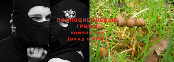 марки nbome Гусев